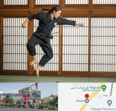 باشگاه نینجا در هروی 