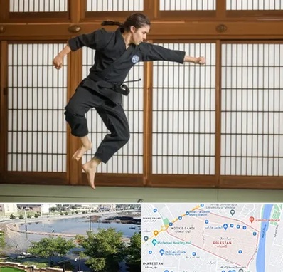 باشگاه نینجا در گلستان اهواز 