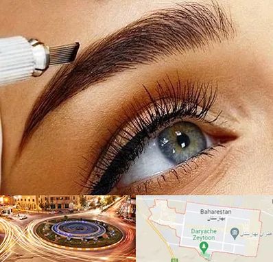 فیبروز ابرو در بهارستان