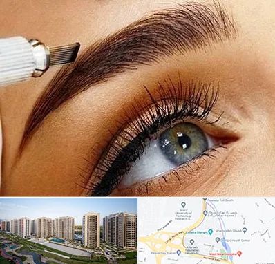 فیبروز ابرو در المپیک