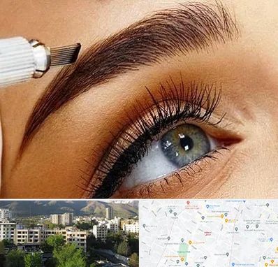 فیبروز ابرو در دیباجی