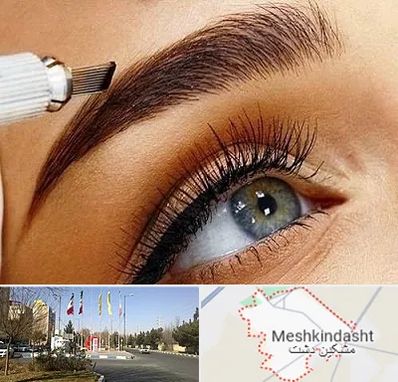 فیبروز ابرو در مشکین دشت