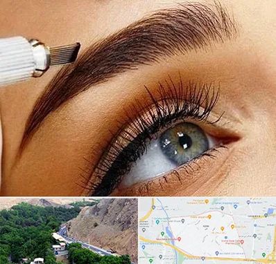 فیبروز ابرو در کن