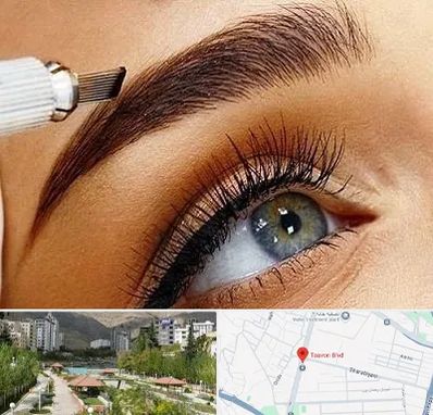 فیبروز ابرو در بلوار تعاون