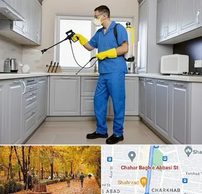 سمپاشی در چهارباغ اصفهان 