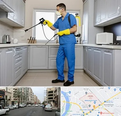 سمپاشی در زیتون کارمندی اهواز 