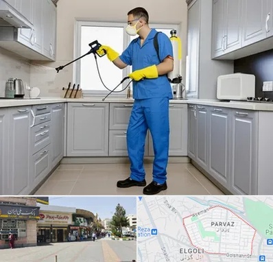 سمپاشی در پرواز تبریز 