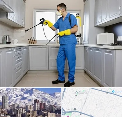 سمپاشی در ازگل