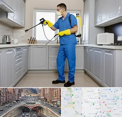 سمپاشی در منطقه 10 تهران 