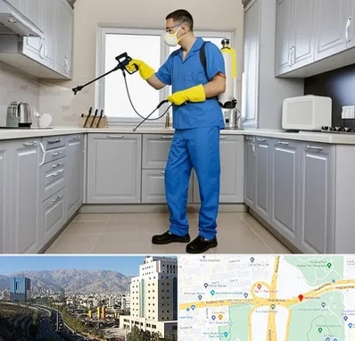 سمپاشی در حقانی 