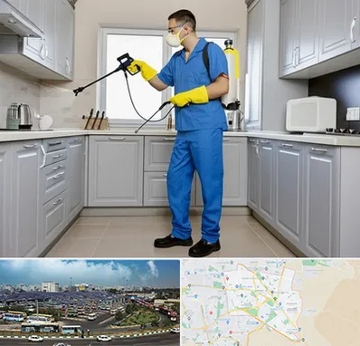 سمپاشی در منطقه 15 تهران 