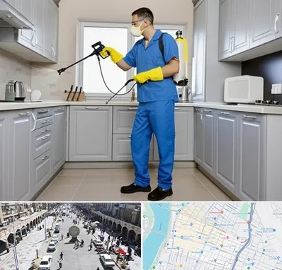 سمپاشی در نادری اهواز 