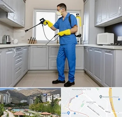 سمپاشی در شهر زیبا 