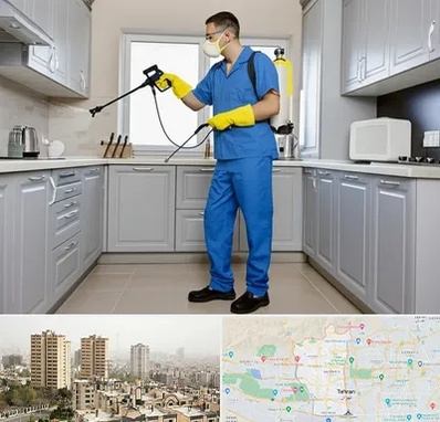 سمپاشی در منطقه 5 تهران 