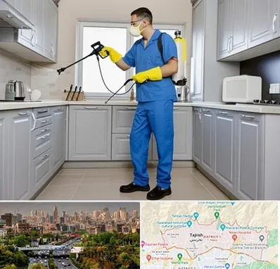 سمپاشی در منطقه 1 تهران 