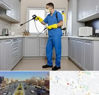 سمپاشی در بلوار معلم مشهد 