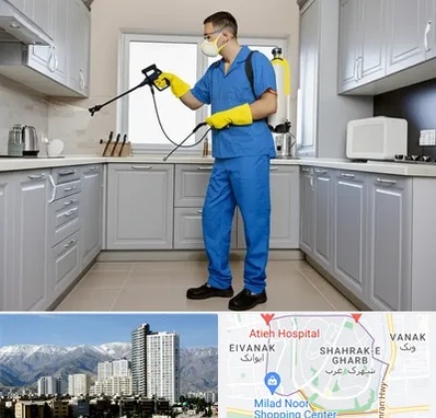 سمپاشی در شهرک غرب 