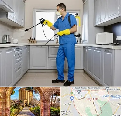 سمپاشی در شهر ری