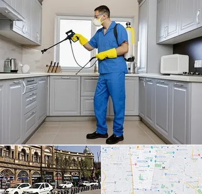 سمپاشی در منطقه 11 تهران 