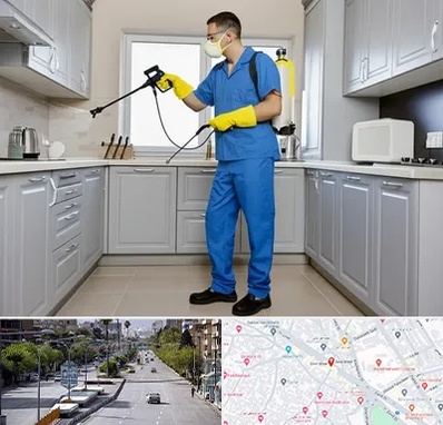 سمپاشی در خیابان زند شیراز 