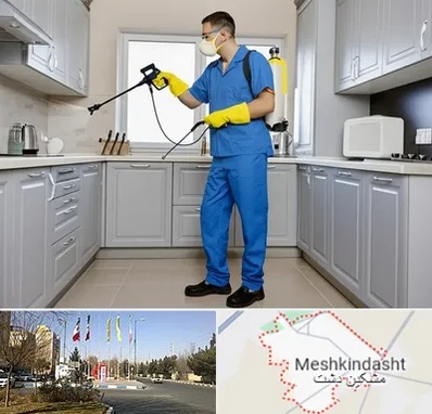 سمپاشی در مشکین دشت