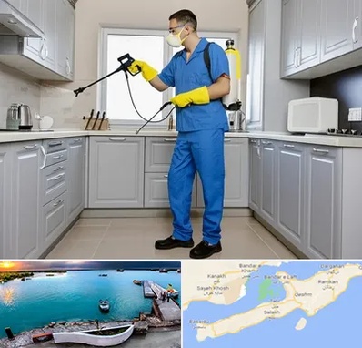 سمپاشی در قشم