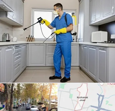 سمپاشی در کاشانک