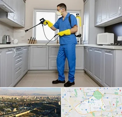 سمپاشی در منطقه 19 تهران 