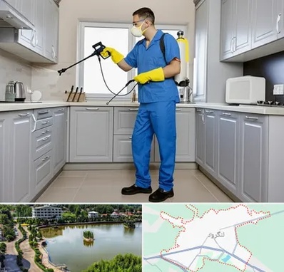 سمپاشی در لنگرود