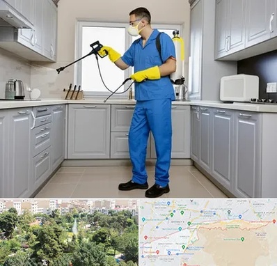 سمپاشی در منطقه 13 تهران 