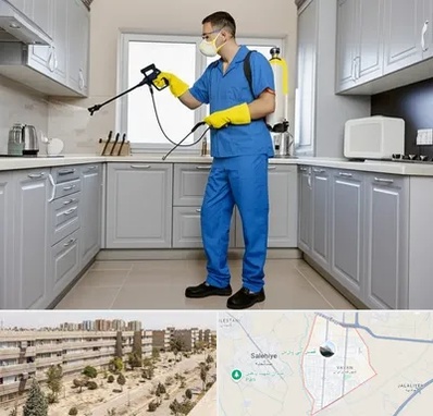 سمپاشی در واوان اسلامشهر 