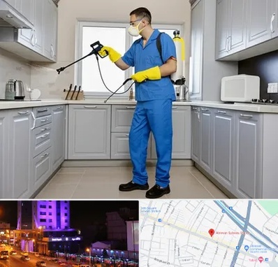 سمپاشی در آبرسان تبریز 