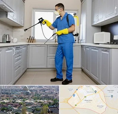 سمپاشی در رباط کریم