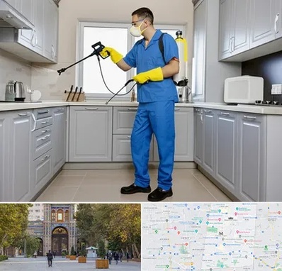 سمپاشی در منطقه 12 تهران 