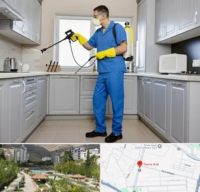 سمپاشی در بلوار تعاون 