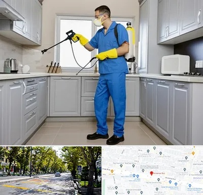 سمپاشی در میرداماد 