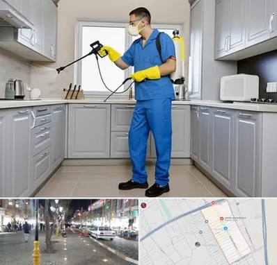 سمپاشی در باغ فیض اسلامشهر 