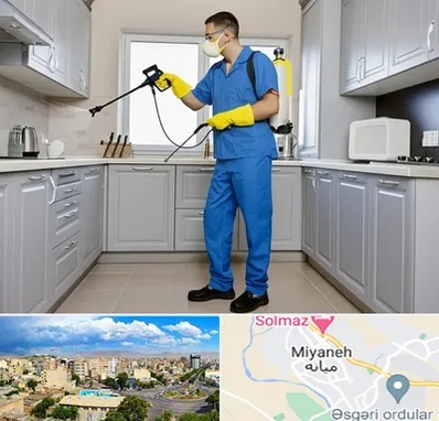 سمپاشی در میانه