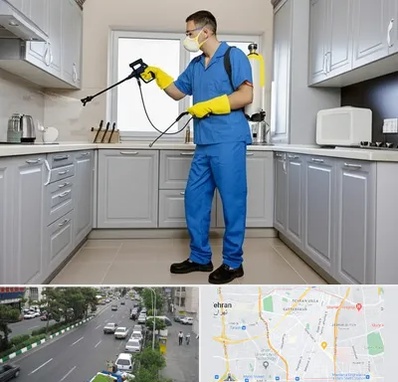 سمپاشی در ستارخان 