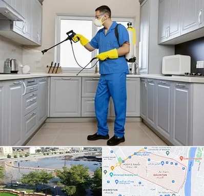 سمپاشی در گلستان اهواز 