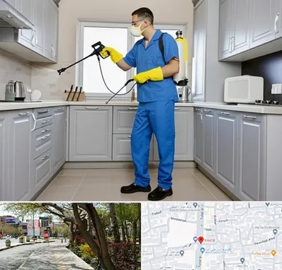 سمپاشی در خیابان توحید اصفهان 