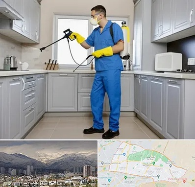 سمپاشی در منطقه 4 تهران 