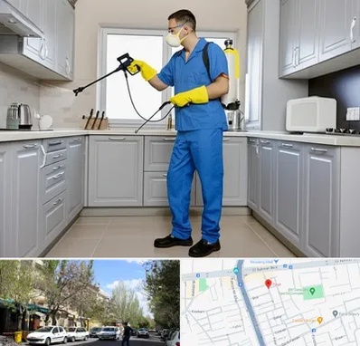 سمپاشی در کوی فیروز تبریز 