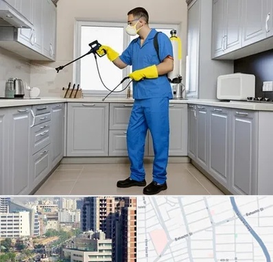 سمپاشی در خیابان بهشتی 