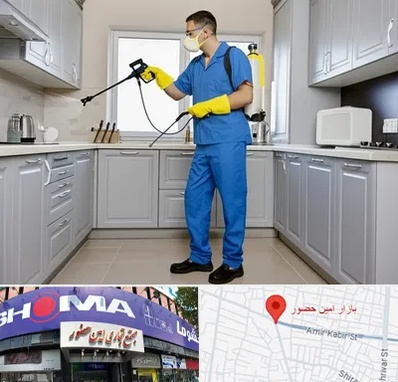 سمپاشی در امین حضور 