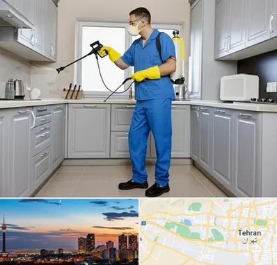 سمپاشی در غرب تهران 