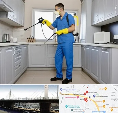 سمپاشی در پارک وی 