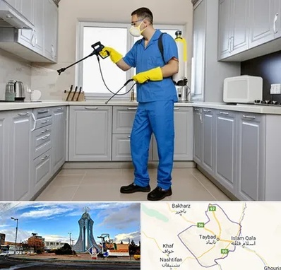 سمپاشی در تایباد