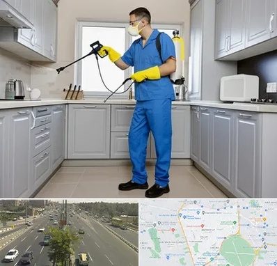 سمپاشی در منطقه 17 تهران 