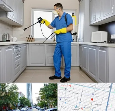 سمپاشی در امامت مشهد 